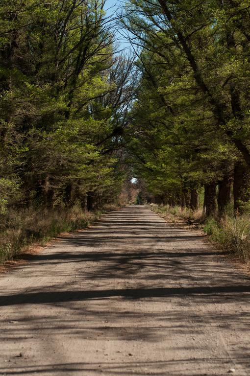 Hosteria Rural Viejo Roble サン・ラファエル エクステリア 写真