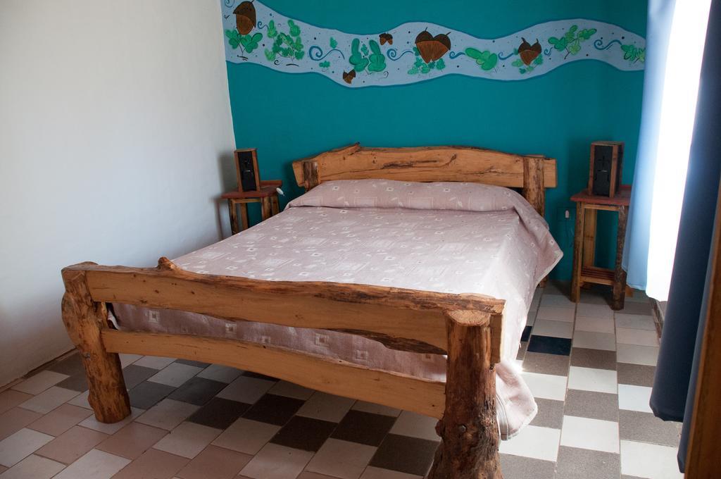 Hosteria Rural Viejo Roble サン・ラファエル 部屋 写真
