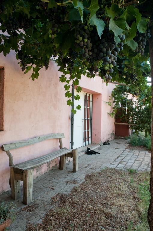 Hosteria Rural Viejo Roble サン・ラファエル エクステリア 写真